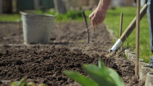 Man Prepares Soil for Planting in Garden