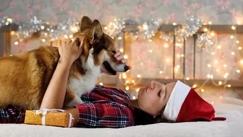 Woman in Santa Hat Plays with Happy Corgi Dog
