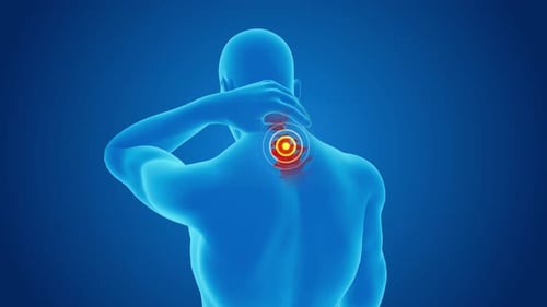 3D Human Anatomy Neck Pain Indicator Animation