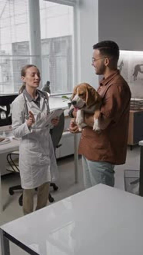 Veterinarian Consulting Pet Owner Holding Beagle Dog in Clinic