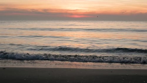 Hermoso amanecer en el mar con pájaros voladores
