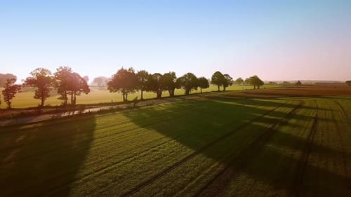 Aerial Drone View. Avtosobil Going Down the Road, Past the Beautiful Trees and Fields, Sunny Morning