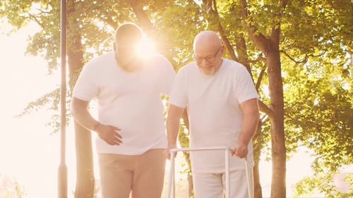 AfricanAmerican Caregiver and Old Man Professional Nurse and Patient in a Nursing Home Assistance