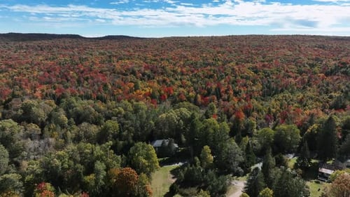 Aerial View Of Dense Forest With Autumn Colors On A Sunny Day. - ascend shot