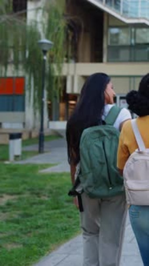 Rear View of Young Group of American Student Friends Going to University Classes