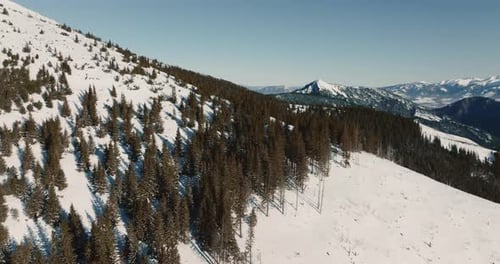 Drone Flies Above Patches of Forest on Winter Rocks to Reveal Amazing Panorama of Majestic Cold Snow