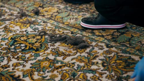 Close Up Professional Cleaning of the Apartment There is a Wool Scraper and a Wool Spool on the