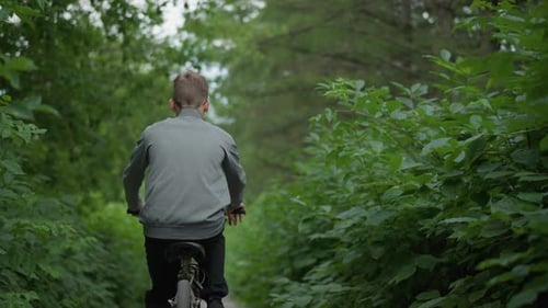 Young Boy Riding Bicycle Through Scenic Green Tunnel Surrounded By Lush Foliage