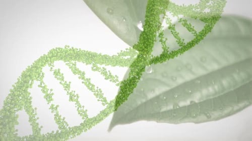 Animation of 3d green dna strand spinning over leaves