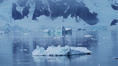 Erkundung gefrorener Wunder: Riesige Eisberge treiben durch kalte arktische Gewässer