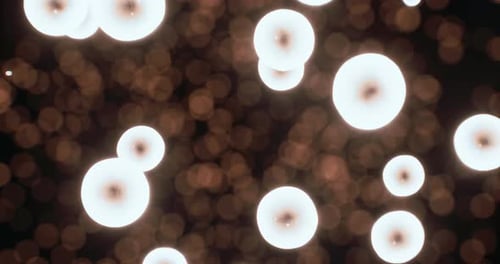 Delicate Orbs of Light Create a Dreamy Atmosphere in the Dark Night Sky