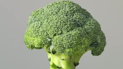 Crisp Green Broccoli Detailed and Dewkissed Symbolizing Organic Produce and the Farmtotable Movement