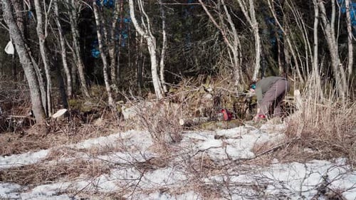Man Cuts Wood with Chainsaw in Winter Forest