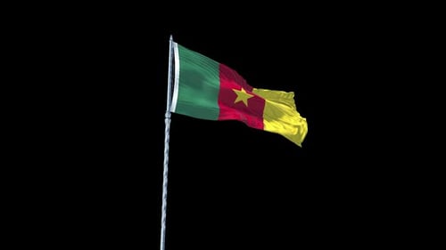 Cameroon National Flag Waving Animation