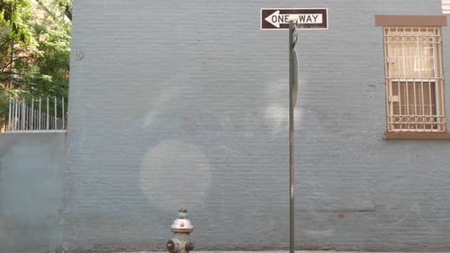 New York City Oneway Crossroad Minetta Street Intersection One Way Road Sign Manhattan Greenwich