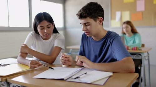 Two Multiracial Teenage Students Working Together at High School