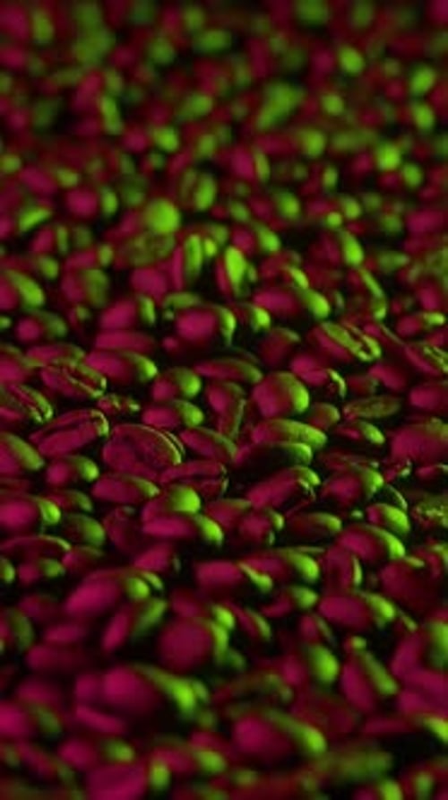 Stirring raw coffee beans