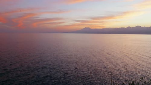 Tranquil Twilight View Featuring Shadowed Landscapes and Blooming Flora