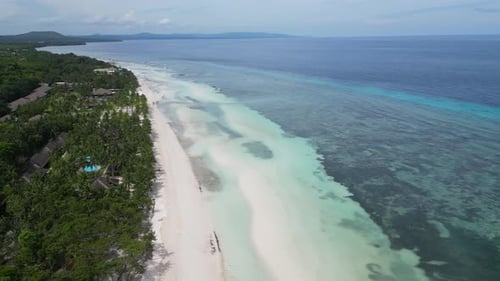 Coast of Island of Bohol in Philippines Sandy Beaches with Palm Trees and Clear Water of Turquoise