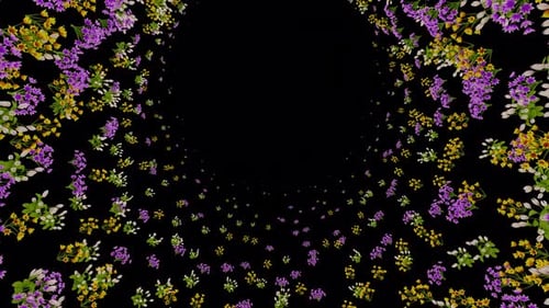 Animated Floral Blossom Transition