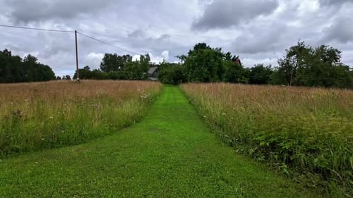 Slow walk on a path of a green meadow, cloudy day with a nice sky, background with copy space