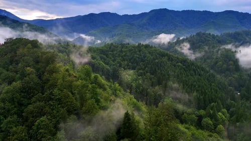 Breath-taking scenery of green mountains covered with beautiful woods.