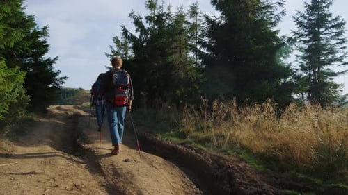 Young Couple Hiking in Mountain Forest