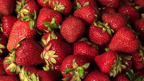 Close Up of Fresh, Ripe Strawberries