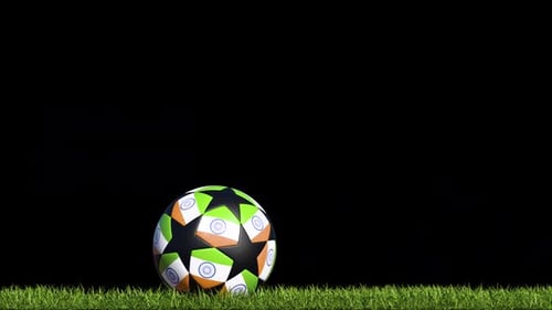 Ballon de football indien sur l'herbe