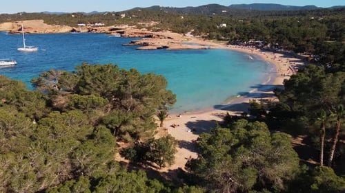 Aerial drone view moving over trees revealing Cala Bassa Beach in Ibiza with sail boats in the beaut