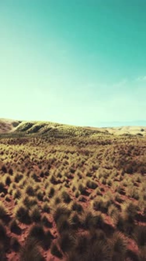 Sparse Grass in Desert Aerial View