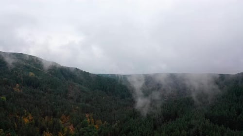 Aerial View of Beautiful Autumn Trees on a Foggy Morning Foggy Clouds Hover Over a Forest in the