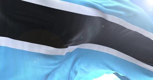 Realistic Fabric Flag Waving in the Wind Loop