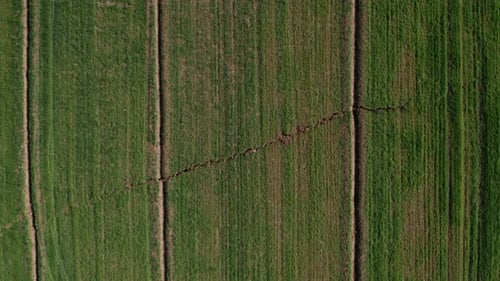 Fault Line Crack