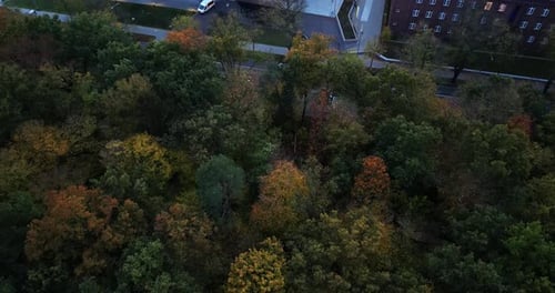from a forrest to a building Drone shot of a abstract building with Intressting architecture and tre