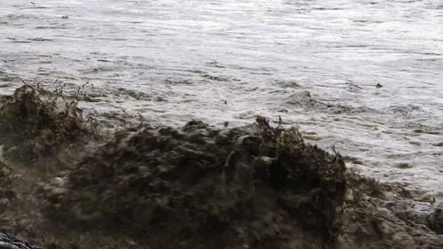 High resolution clip of muddy whirling water taking everything in its path. Natural disaster , flood