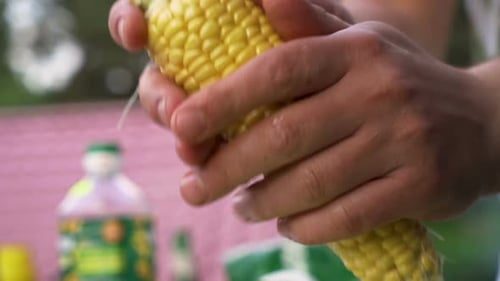 Man peel bark from freshly picked corn, close shot
