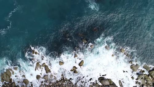 Vibrant Coral Reef Teeming With Colorful Tropical Marine Life