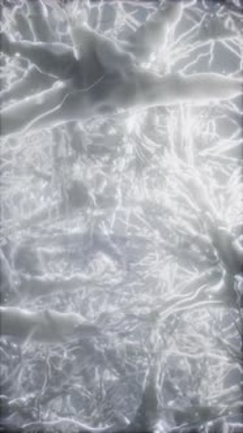 Journey Through a Neuron Cell Network Inside the Brain