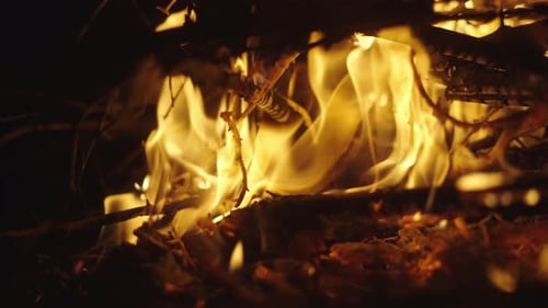 Feuer brennendes Holz