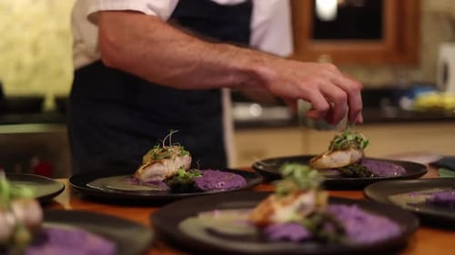 Chef Plates Gourmet Meal in Kitchen