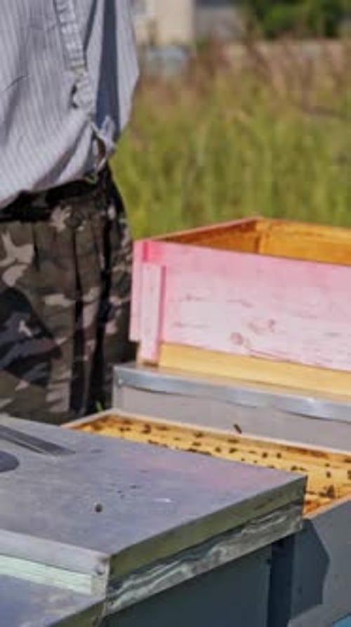 Beekeeper Tending to Bee Hive on Sunny Day