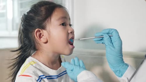 Child Having Teeth Examined by Doctor