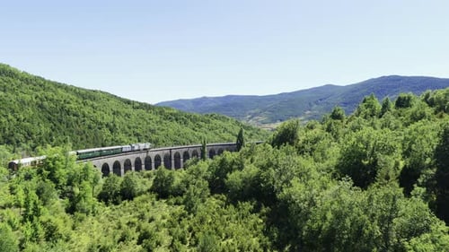 Scenic Train Journey Across Picturesque Viaduct in Green Valley