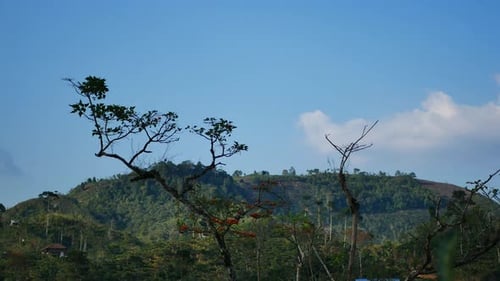 natural views of hills and mountains