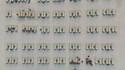 Atemberaubender Luftaufzug über tropischen Palmen und dem glitzernden, sonnigen Meer