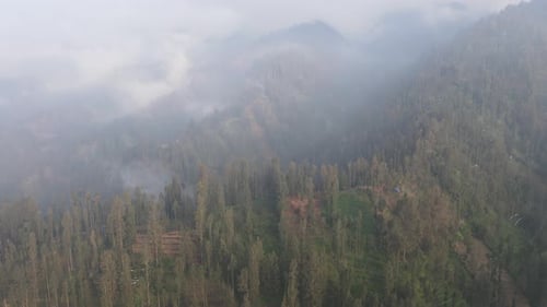 Rainy weather in mountains. Misty fog blowing over pine tree forest. Aerial footage of spruce forest
