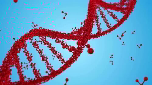 Animated Red DNA Double Helix Structure Background