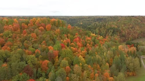Autumn Landscape of the Autumn Bright Multi-colored Trees, Green, Orange and Reddish Tint. Autumn in
