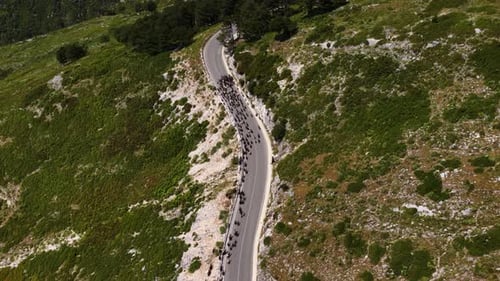 Aerial view of cyclists on a winding mountain road in Albania.